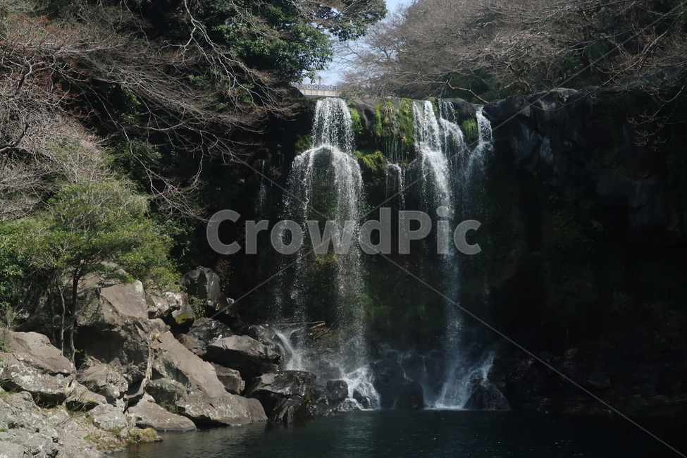 제주도,제주,폭포,천자연폭포,제주도폭포,등산,나무,산,water,물,nature,자연,outdoors,옥외,waterfall,jeju,jejuisland,trees,river,강