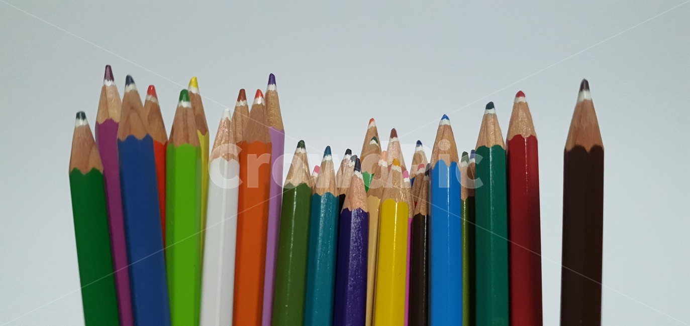 색연필,연필,컬러,색상,화려,나무,색칠,education,pencil,art,wood,color,colorful,school,isolated,equipment,white,drawing,design,draw,green,paint,object,wooden,blue,colour,rainbow,sharp,office,red,yellow,orange,spectrum,학용품,문구류,사무용품,school supplies,stationery,office supplies