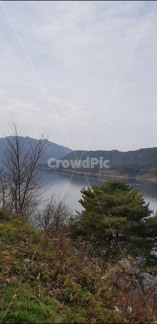 호수,산,강,나무,자연,경관