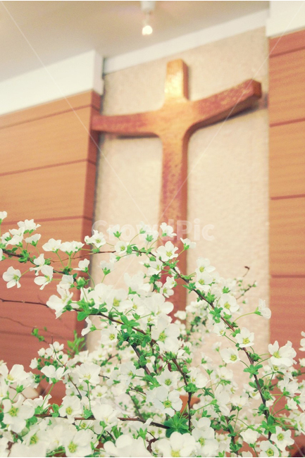 십자가,예배,성전,크리스천,cross,식물,자연,plants,nature,꽃,flower,종교,신앙,religion,belief,faith,감성,sensible,feeling