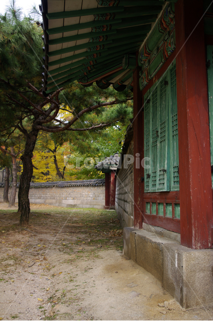 창덕궁,고궁,건축,전통건축,traditional,전통,단청,기와지붕,한국전통,한국문화,korean traditional,korean culture,건축물,건물외관,exterior,building,structure,architecture,construction
