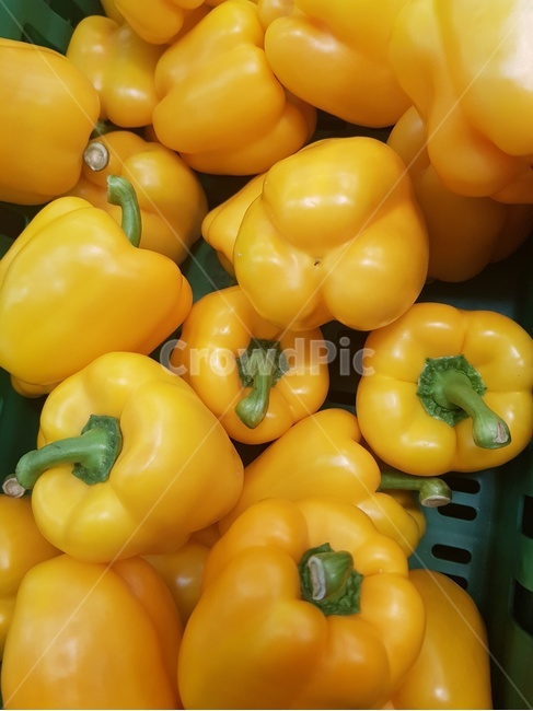 파프리카,식물,야채,음식,plant,vegetable,음식,식재료,요리,food,cook,meal,dishes,food reserves,채소,야채,vegetables