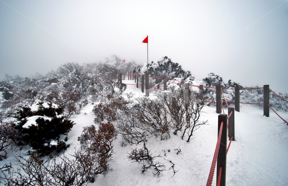 한라산,설경,제주도,영실코스,눈,겨울,설화,안개,탐방로,깃발,겨울,계절,winter,season