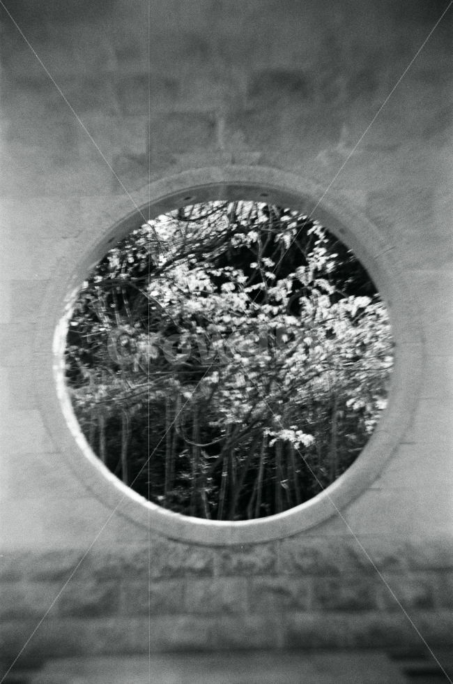 필름사진,흑백사진,film,blackandwhite,풍경,중국,정적,흑백,모노톤,monochrome,black and white