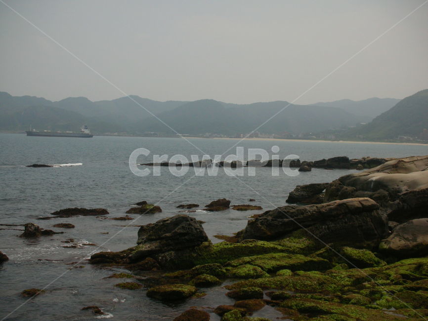 예류,해안,암석,대만,바다,sea,coast,rock,자연,풍경,nature,landscape,promontory,곶,plant,식물