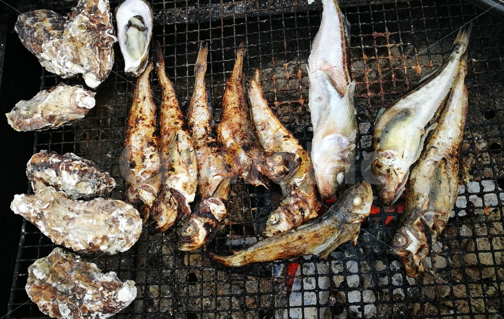 생선,생선구이,석화,석쇠구이,도루묵,해산물,음식,식재료,요리,food,cook,meal,dishes,food reserves,수산물,해산물,fishery products,seafood