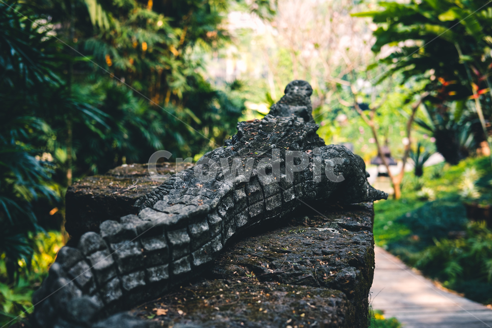 악어,조각상,밀림,숲,배경,동물,animal,파충류,양서류,reptile,amphibian
