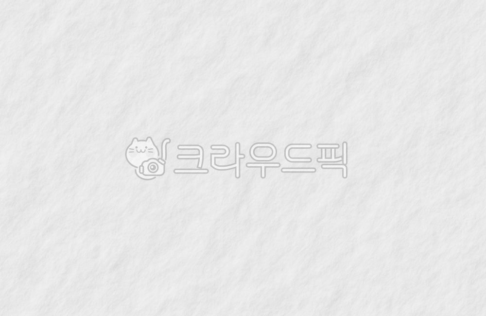 종이,배경지,재질,배경,구겨짐,구김,백그라운드,종이질감,소스,텍스쳐,paper,white,흰배경,화이트,종이질감배경,하얀배경,종이배경,흰종이배경,background,페이퍼,텍스처,질감,패턴,바탕,pattern,texture,조직,텍스처,질감,패턴,texture,pattern