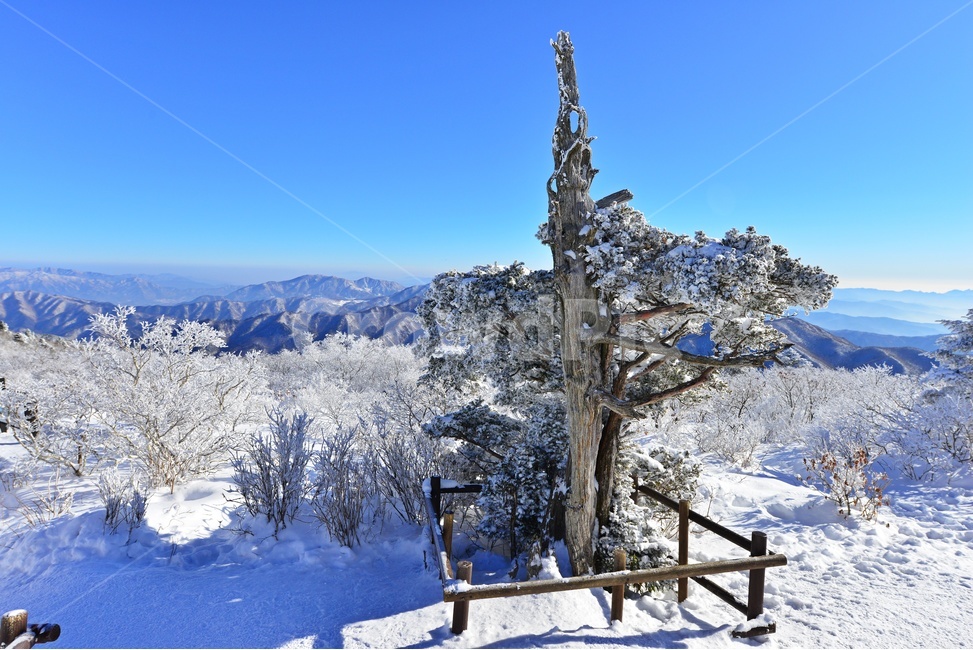 mountain,산,nature,자연,outdoors,옥외,landscape,경치,scenery,풍경,mountainrange,산맥,snow,눈,덕유산,설천봉,향적봉,중봉,상고대,덕유산설경,겨울,계절,설경,겨울,계절,winter,season,자연,풍경,nature,landscape,한국자연풍경,한국자연경관,korea nature landscape