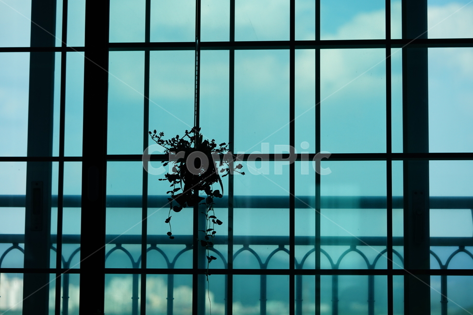 window,창문,building,건물,건축물,architecture,식물,실루엣,창가