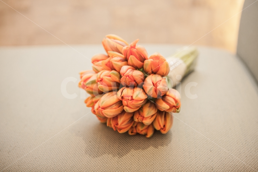 웨딩,부케,꽃,결혼,신부,wedding,flower,bouquet,예쁜사진,화사한,식물,자연,plants,nature,꽃,flower,기념일,축하,anniversary,congratulation,celebrate,celebration,결혼,혼례,웨딩,wedding,marriage,marry