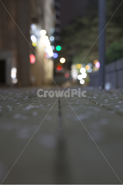 봄,벚꽃,꽃잎,낙화,분위기,감성,봄,계절,spring,season,야경,밤,풍경,nightscape,night,landscape,꽃,flower