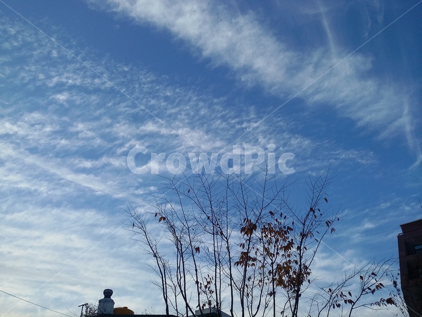 nature,자연,sky,하늘,구름