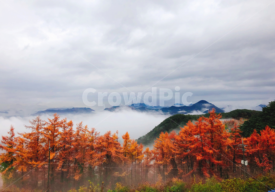 산,구름,단풍,나무,전망,전경,실외,사람없음,경치,풍경,가을산,가을,가을,계절,fall,autumn,season,자연,풍경,nature,landscape,tree,plant,식물,outdoors,옥외