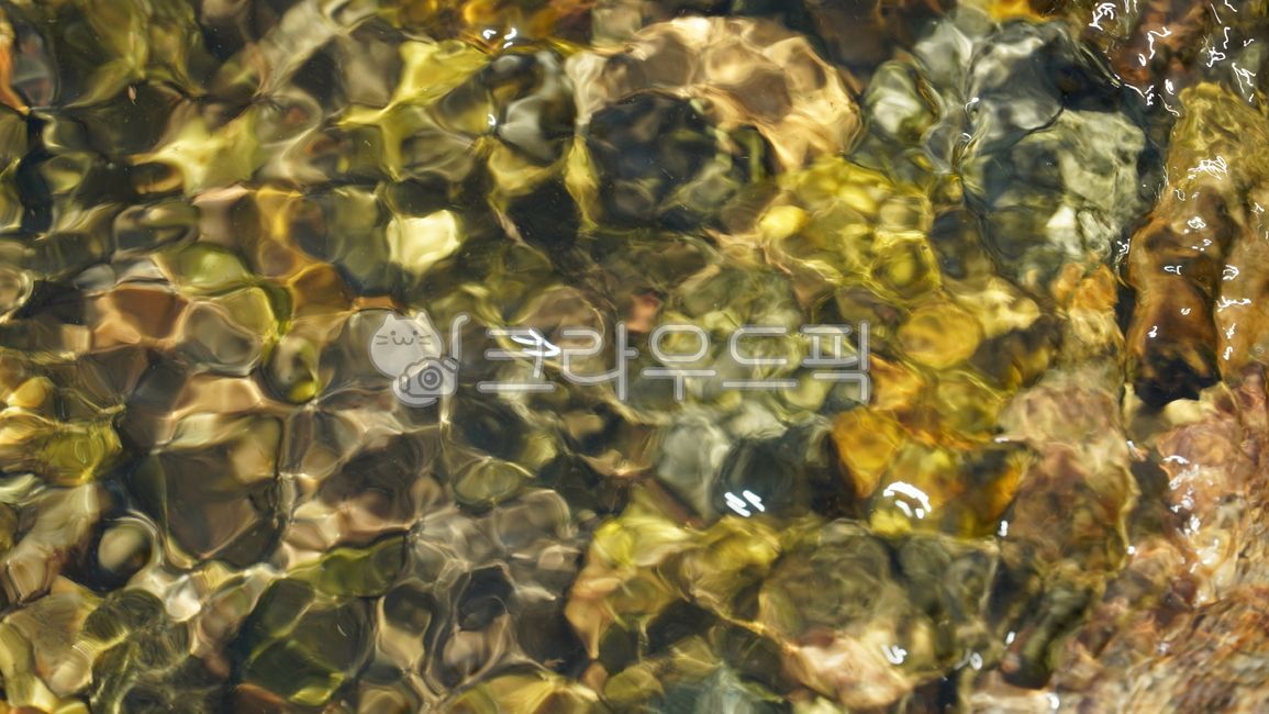 물,물놀이,자갈,시냇물,개울가,여름,자연,water,stream,summer,streamside,골짜기,돌,stone