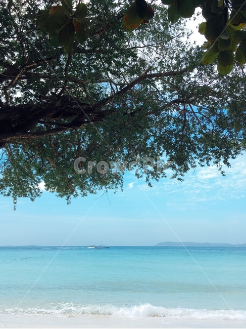 해변,산호섬,휴가,여름휴가,바닷가,바다,에메랄드