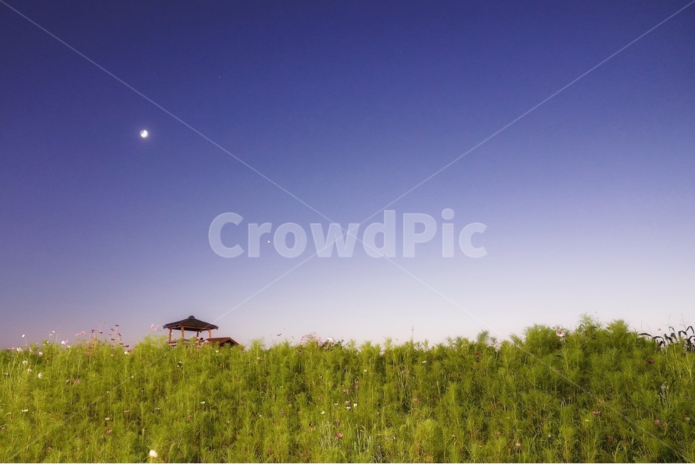 밤,하늘,야경,오두막,풍경,자연,풍경,nature,landscape,야경,밤,nightscape,night,outdoors,옥외