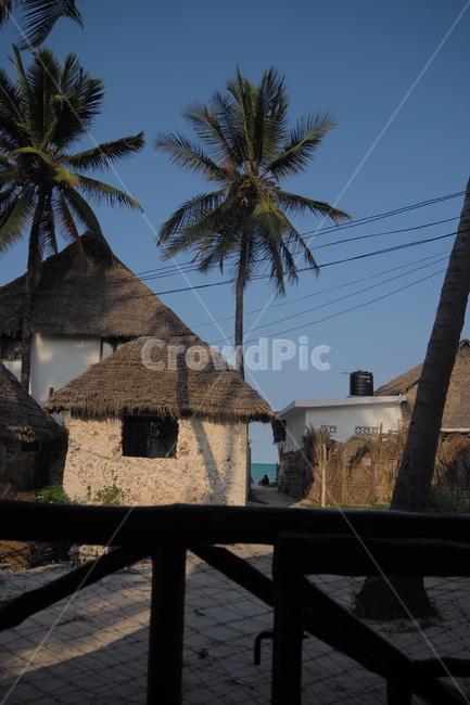 탄자니아,tanzania,zanzibar,잔지바르,잔지바르섬,jambiani,잠비아니,아프리카,africa,야자수,자연,시골,countryside,nature,시골,마을,풍경,landscape,country,rural,town,해외,외국,세계,foreign,oversea,world