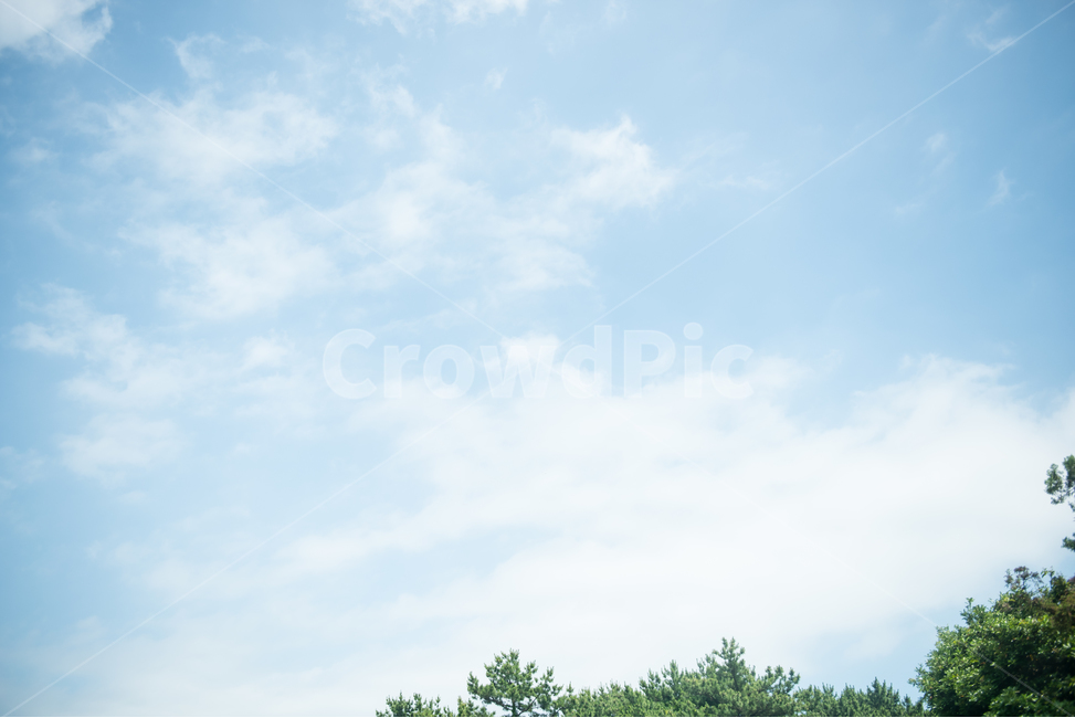 하늘,구름,날씨,여름,배경,하늘색,맑은,청량한,시원한,솜털구름,뭉개구름,푸른,푸르다,하얀,나무,자연,풍경,nature,landscape,outdoors,옥외