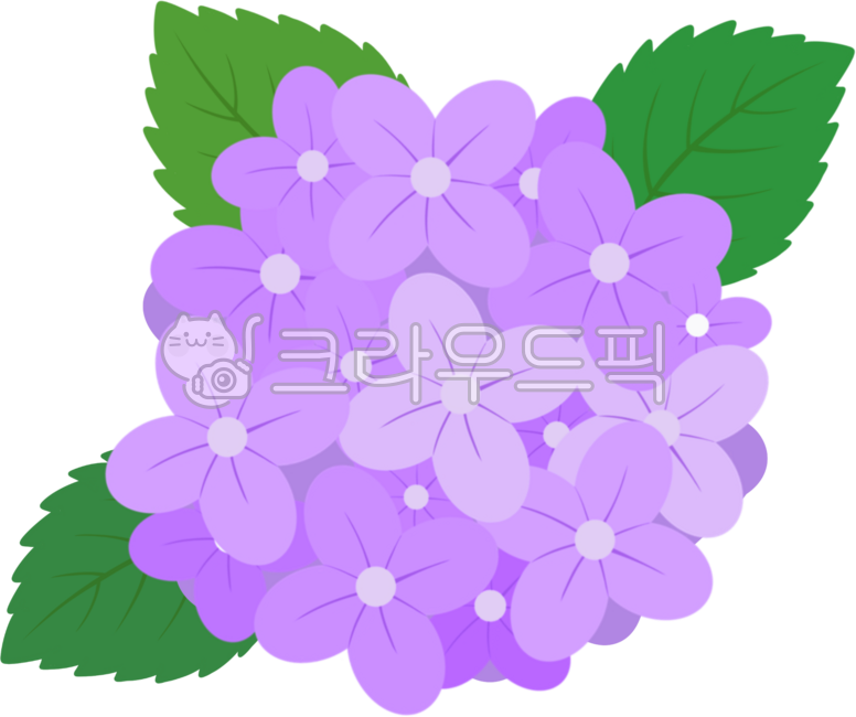 Hydrangea,summer,flower shape,hydrangea festival,hydrangea illustration,hydrangea drawing,hydrangea image,flower element,hydrangea illustration,hydrangea shape,hydrangea flower,summer flower,hydrangea bouquet,flower bud,hydrangea element,pu