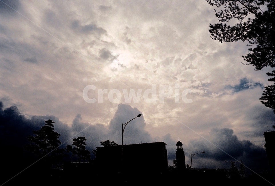 나무,풍경,하늘,구름,햇빛,tree,landscape,sky,cloud,shine,자연,nature