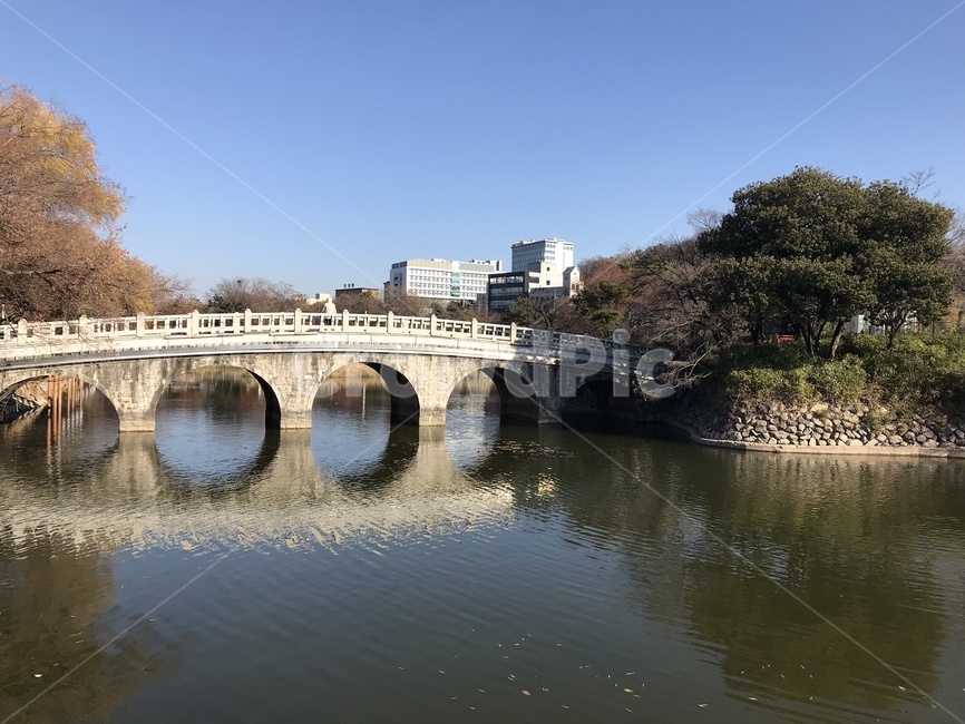 자연,다리,저수지,연못,맑음