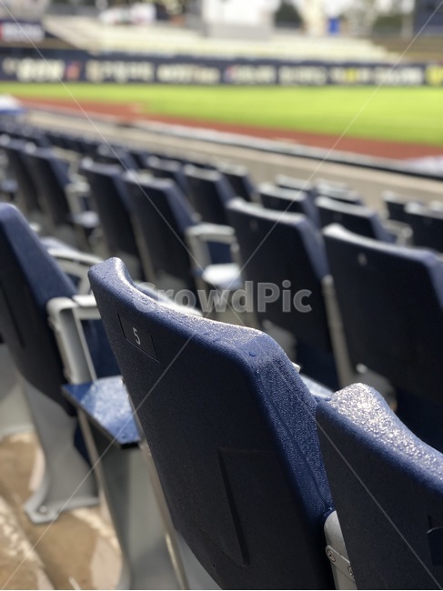 의자,chair,옥외,야구장,가구