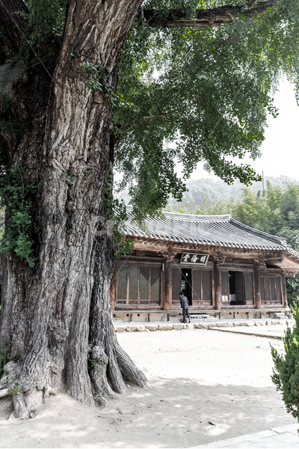 전주한옥마을,고택,문화유산,명류당,한국의미,관광명소,한국전통,한국문화,korean traditional,korean culture