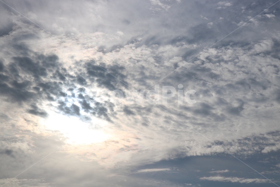 여름,하늘,구름,흰색,해,summer,natsu,sky,sora,cloud,kumo,white,shiro,sun,taiyou,푸름,자연,풍경,nature,landscape,outdoors,옥외