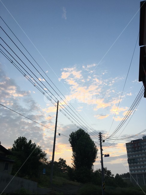 하늘,파란색,구름,여름하늘,여름