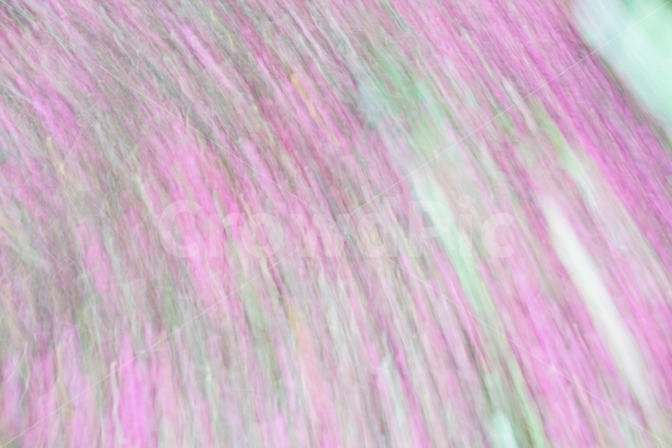 백드라운드,질감,무늬,컬러,분홍색,배경화면,표현,텍스처,질감,패턴,texture,pattern