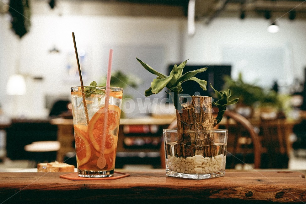 beverage,마실것,drink,plant,식물,화분,오렌지,오렌지에이드,에이드,필름느낌,감성,카페,음료,film,음료수,drink,beverage