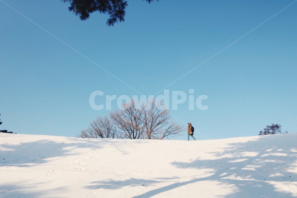 겨울,눈,설경,올림픽공원,풍경,자연,서울,winter,snow,korea,감성,감성사진,계절,겨울,계절,winter,season,자연,풍경,nature,landscape,사람,인물,인간,human,person,여행,휴가,traveling,vacation,trip,outdoors,옥외