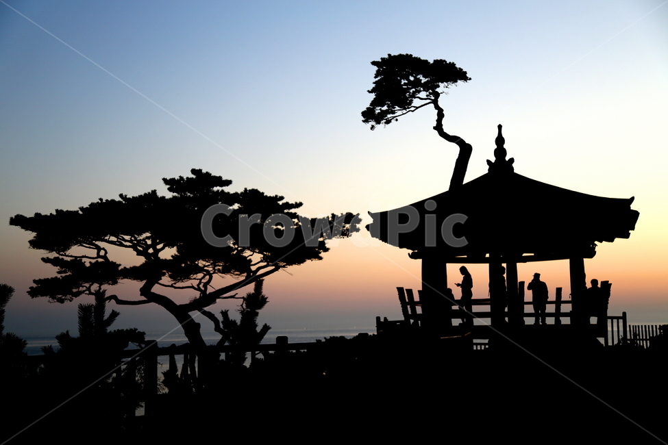 풍경,자연,일출,나무,정자,사람들,자연,풍경,nature,landscape,한국자연풍경,한국자연경관,korea nature landscape,한국전통,한국문화,korean traditional,korean culture,실루엣,그림자,silhouette,shadow,person,사람,human,인간