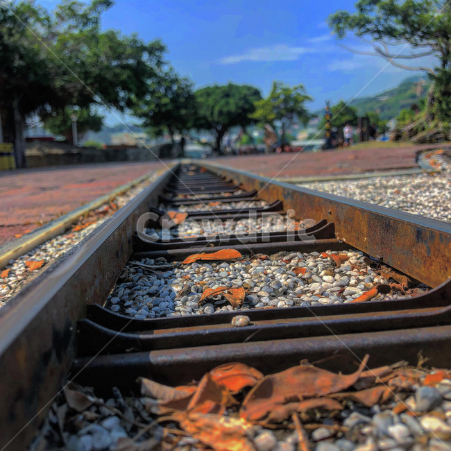 레일,rail,railway,철도,기찻길,transportation,교통,traintrack,도로