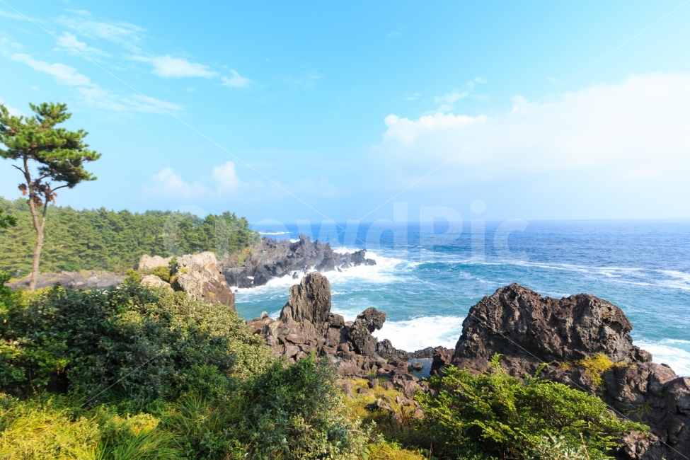 제주도,주상절리,풍경,자연,절벽,암석,밤위,바다,해안,해안선,절리,화산암,암맥,용암,응회암,중문,중문단지,관광,과노강지,여행,여행지,수평선,파란,하늘,나무,관광자원,제주,경치,아름다운,자연,풍경,nature,landscape,제주도,jeju,jeju island,promontory,곶,outdoors,옥외,land,땅,sea,water,물,ocean,대양,shoreline