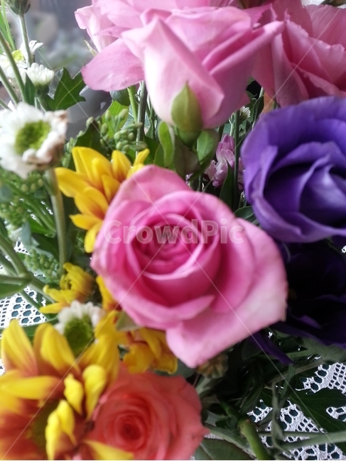 꽃다발,축하,부케,기념일,꽃,bouquet,감사,생일,선물,present,celebration,congratulation,anniversary,bunchofflowers,꽃들,flowers,졸업,입학,향기로운,향기,화사한,화려한,알록달록,아름다운,beautiful,예쁜,이쁜,pretty,색감,colorsense,색채,빛깔,feelingofcolor,봄,spring,분홍색,장미,rose,pink,보라색,violet,purple,핑크,thankyou,감성,emotion,식물,plants,꽃선물