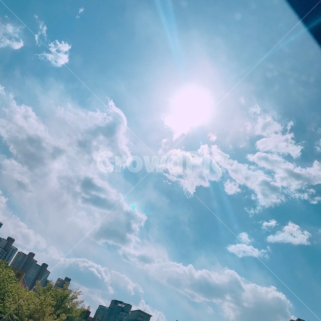 자연,nature,해,태양,하늘,맑음