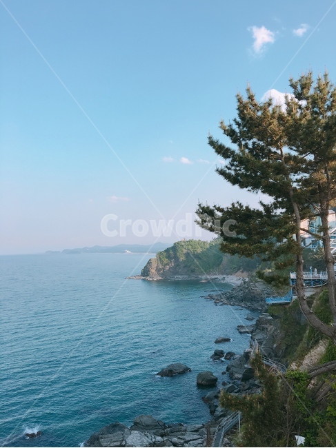 바다,동해,동해바다,나무,바위,파란바다,풍경,자연,풍경,nature,landscape,outdoors,옥외,land,땅,promontory,곶,shoreline,해안선,water,물,ocean,대양,sea