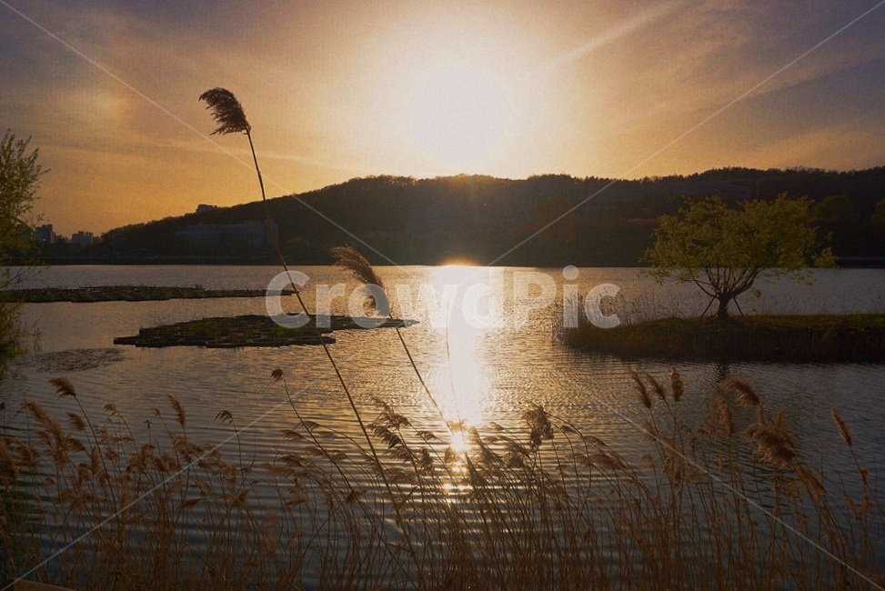 풍경,호수,천호지,가을,단대호수,자연,풍경,nature,landscape,한국자연풍경,한국자연경관,korea nature landscape,plant,식물,grass,잔디,light,빛,flare,플레어,sunlight,햇빛,outdoors,옥외