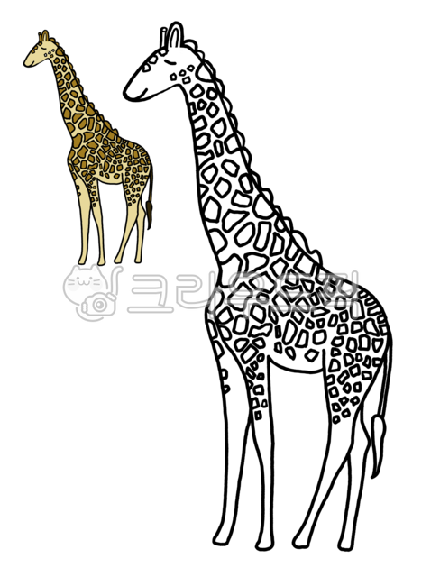 색칠공부,색칠하기,그림색칠,동물색칠공부,동물색칠하기,유아미술,유아그림공부,초등미술,기린,기린색칠공부,기린색칠하기,기린그림,기린일러스트,동물,giraffe,animal,mammal,그래픽,일러스트레이션,graphic,illustration