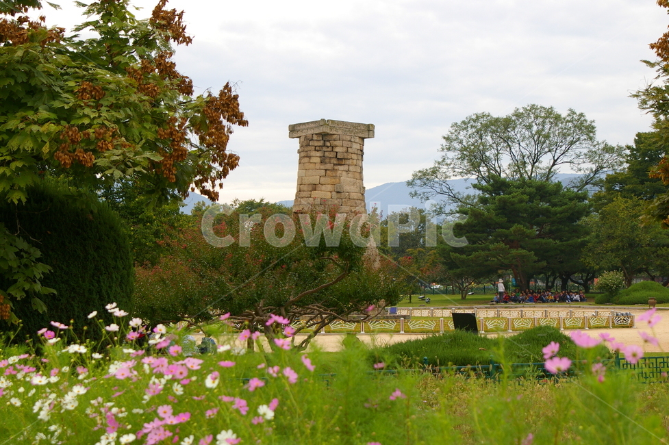 경주,풍경,자연,야외,가을,outdoors,옥외,field,들,첨성대,랜드마크,landmark,tourist attraction,한국랜드마크,한국관광지,한국명소,korea landmark,korea tourist attraction