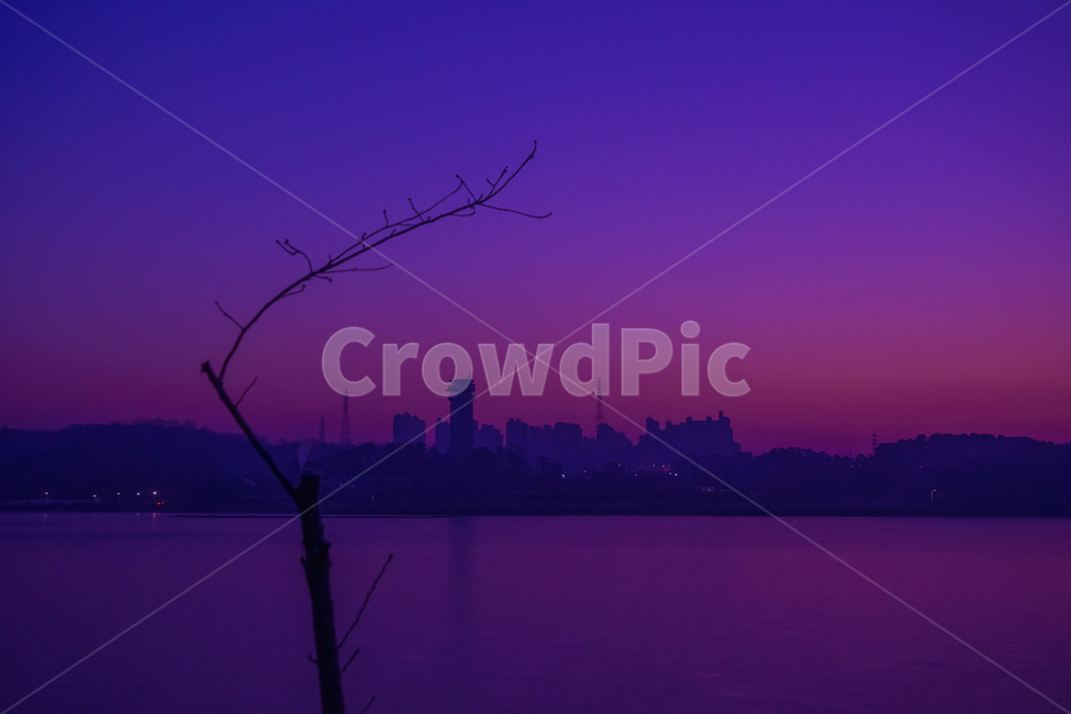 여명,겨울,호수,나무,감성,풍경,도시,풍경,city,landscape,식물,자연,plants,nature,나무,trees,wood,outdoors,옥외,weather,날씨