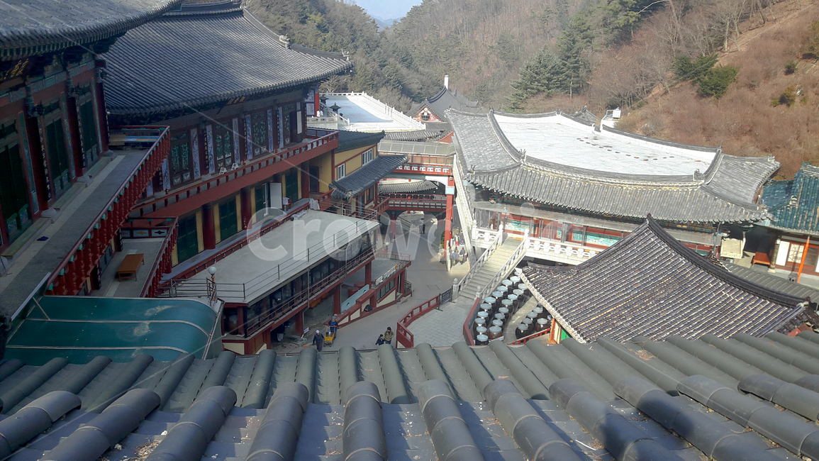 사찰,전통,불교,산,절,오래된,자연,풍경,맑음,한국문화,건물외관,temple,nature,koreantraditional,koreanculture,exterior,structure,construction,지붕,roof,architecture,건축물,building,건물
