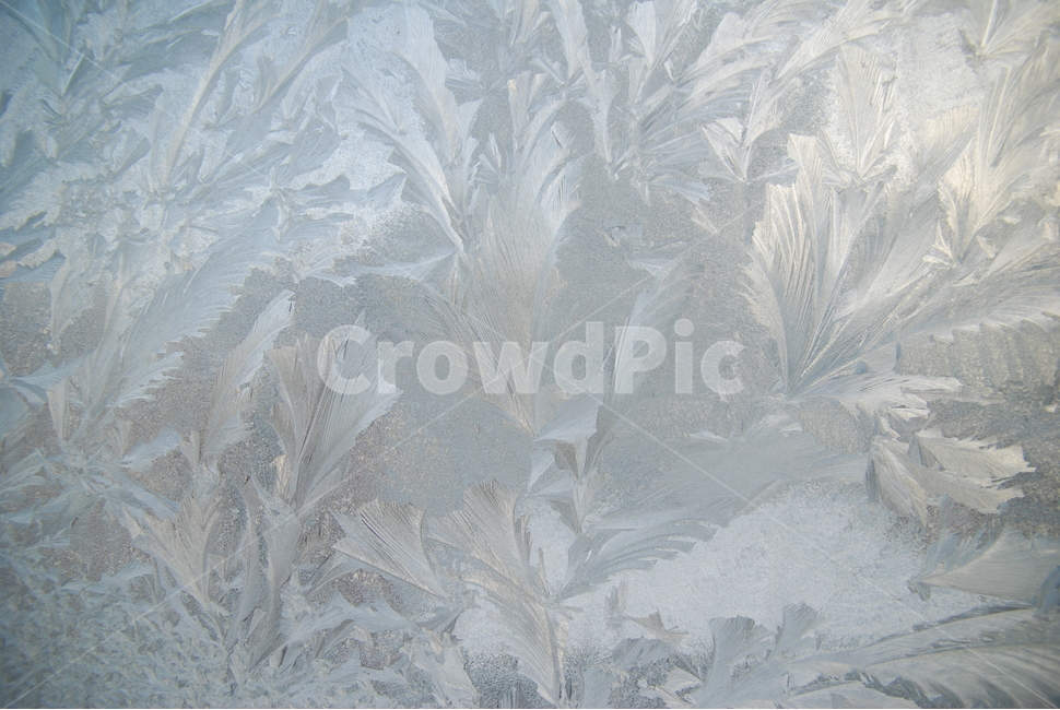 ice,빙,nature,자연,outdoors,유리창얼음,얼음,겨울,계절,winter,season