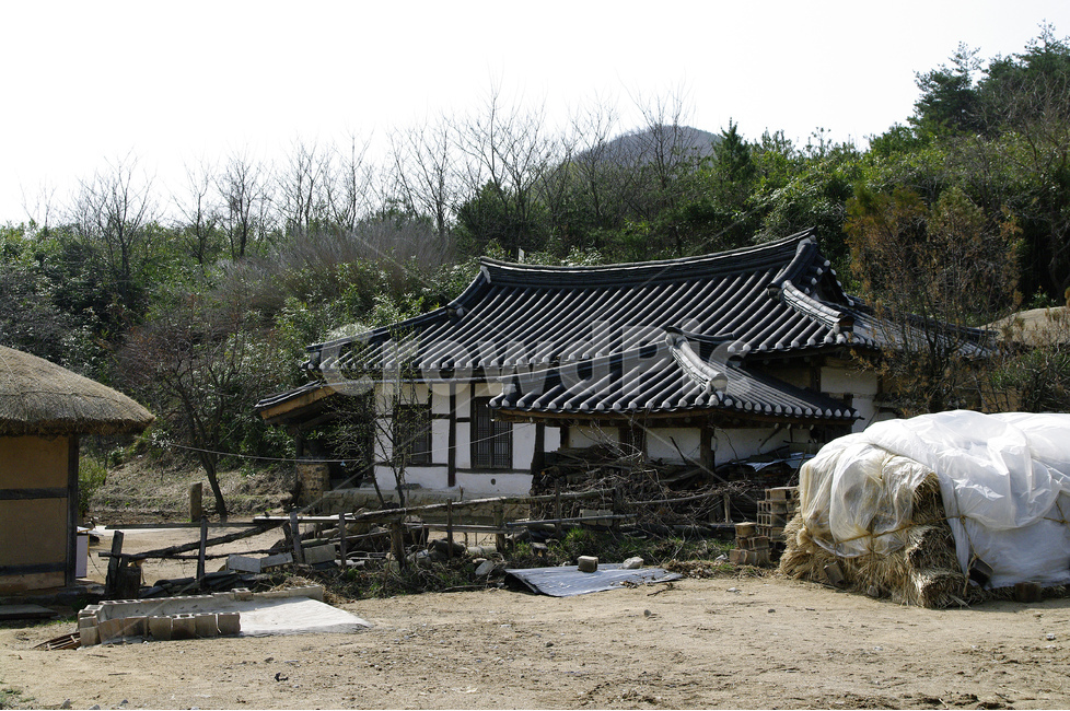 기와,지붕,기와지붕,한국,전통가옥,마을,시골,마을,풍경,landscape,country,rural,town,한국전통,한국문화,korean traditional,korean culture