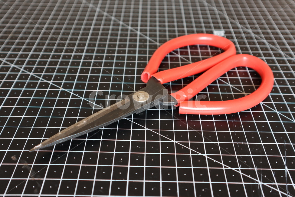 가위,수공예,공방,가죽고예,공업용,물건,잡동사니,scissors,weapon,blade,무기,사물,물건,오브젝트,thing,object,matter