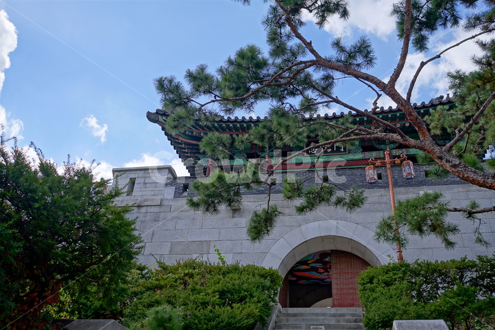 혜화문,서울,종로구,혜화동,한국,한국적인,korea,seoul,성문,성벽,성곽,한양도성,한옥,하늘,구름,나무,식물,풍경,landscape,전통,문화,한국전통,한국문화,문화재,전통문화,기와,건물,건축,tree,전등,등불,호롱불,전깃불,한국전통,한국문화,korean traditional,korean culture,랜드마크,landmark,tourist attraction,한국랜드마크,한국관광지,한국명소,korea landmark,korea tourist attraction,건축물,건물외관,exterior,building,structure,architecture,construction