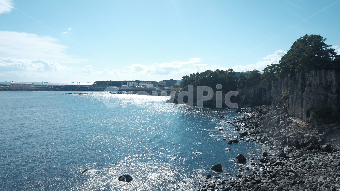 wave,제주도,바다,파도,물결,sea,절벽,나무,해안,자연,풍경,nature,landscape,한국자연풍경,한국자연경관,korea nature landscape,water,물,outdoors,옥외,promontory,곶