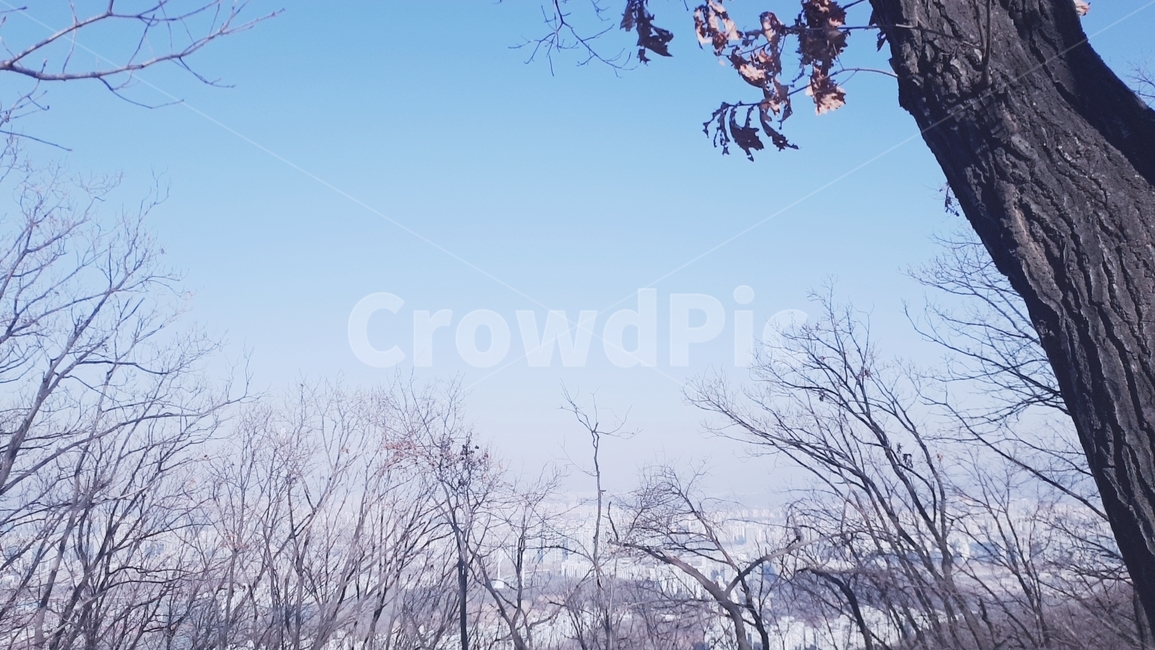 겨울나무,고독,외로움,가지,나무,tree,나뭇가지,산,mountain,하늘,sky,구름,나뭇잎,leaf,겨울,winter,wintertree,자연,풍경,nature,landscape,plant,식물